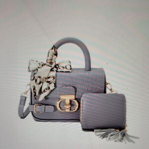 Elegant Mini Gray Handbag Set